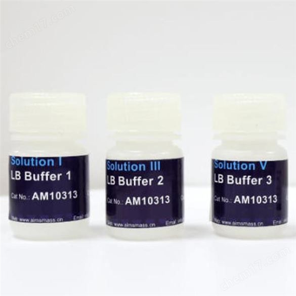 目标蛋白棕榈酰免疫印迹检测试剂盒