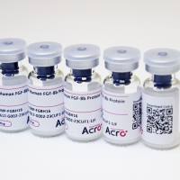 生物素标记 恒河猴 磷脂酰肌醇蛋白聚糖 2 蛋白, 组氨酸,Avi标签