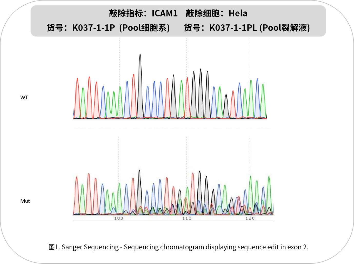 新闻图片5