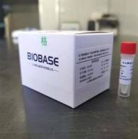 核酸提取或纯化试剂（商品名： MagaBio 血浆游离 DNA 纯化试剂盒Ⅱ4）