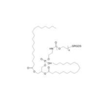 DSPE-PEG-Gly-Arg-Gly-Asp-Ser   DSPE-PEG-GRGDS  GRGDS-PEG-DSPE  磷脂-聚乙二醇-抗黏附多肽