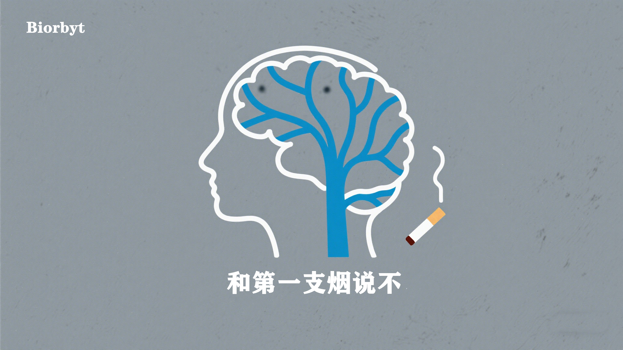 明知有害却难戒？揭秘烟草成瘾的神经机制——看“心瘾”如何操控你的选择
