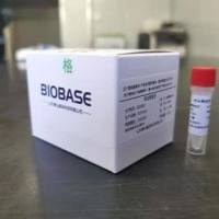 核酸提取或纯化试剂（商品名：Biospin 中量全血基因组DNA提取试剂盒1）
