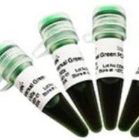 2×Universal Green PCR Master Mix A