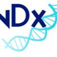 【干冰】Human FOXP3 Methylation Panels