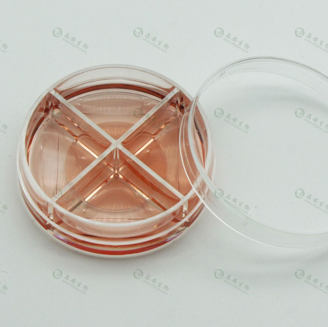 上海晶安35mm四宫格激光共聚焦培养玻底皿/多孔玻璃底小皿