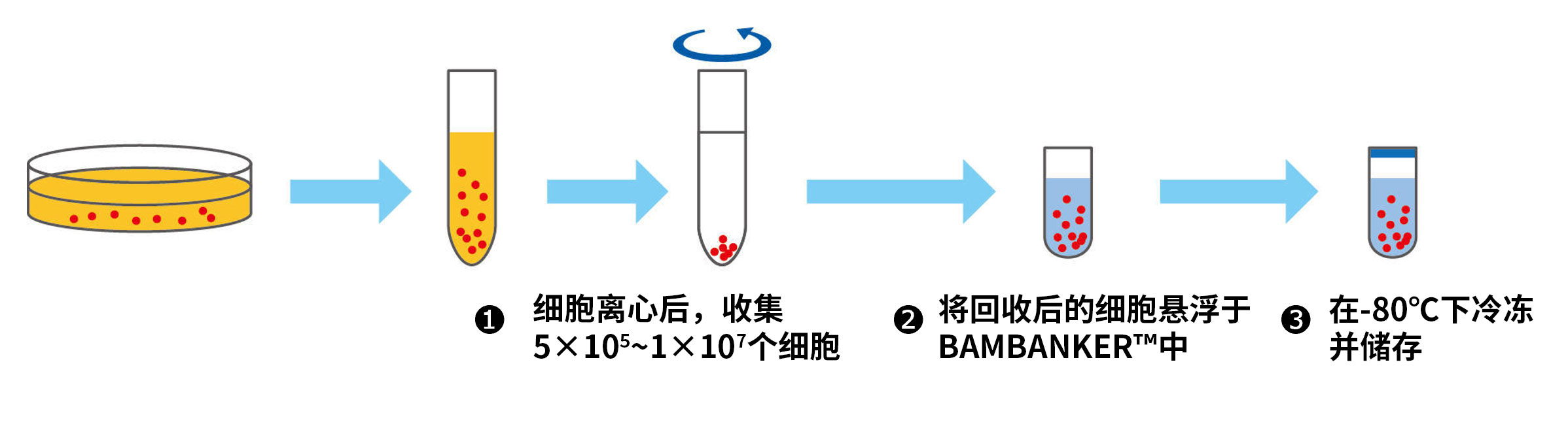 无血清细胞冻存液 BAMBANKER™、BAMBANKER™