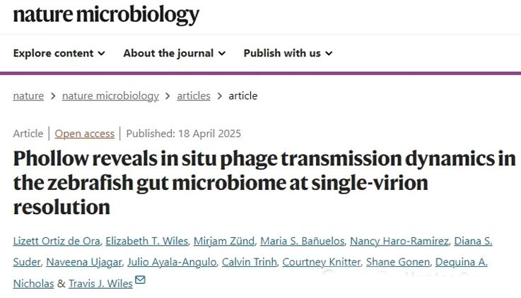 IF=20.5丨Nat.Microbiol：Phollow技术揭示斑马鱼肠道微生物组中噬菌体的传播动态