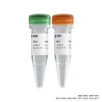 TruePrep Index Kit V2 for Illumina(TruePrep专用Index试剂盒)(TD202)