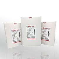 CellWorld MEM a 培养基 C1462-875P-10L/袋