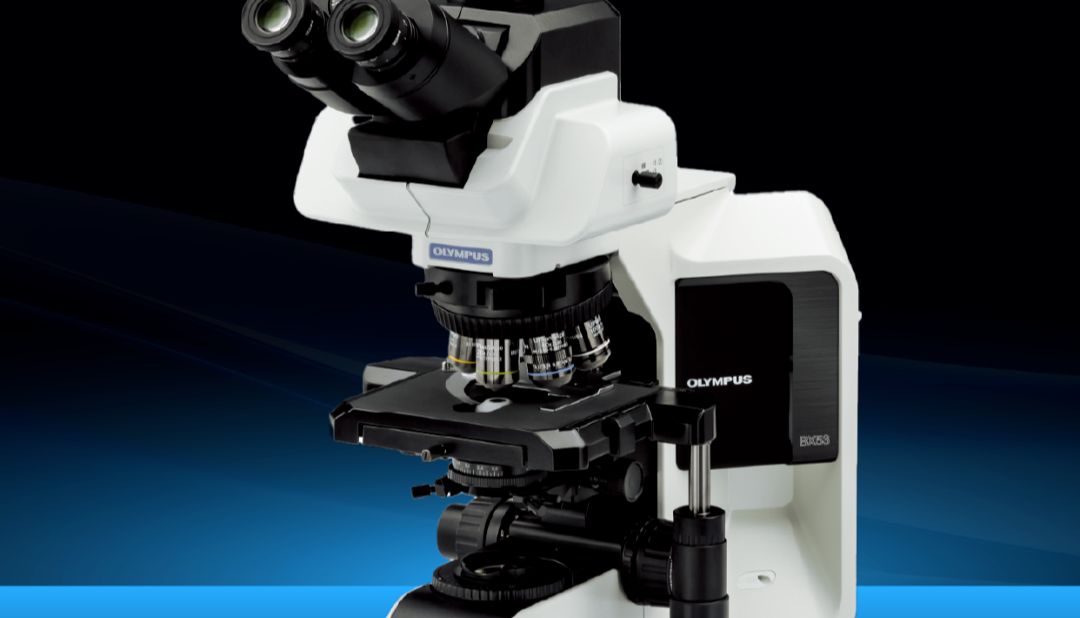 奥伟登BX53F2C超宽视界启航，智启显微观察新篇
