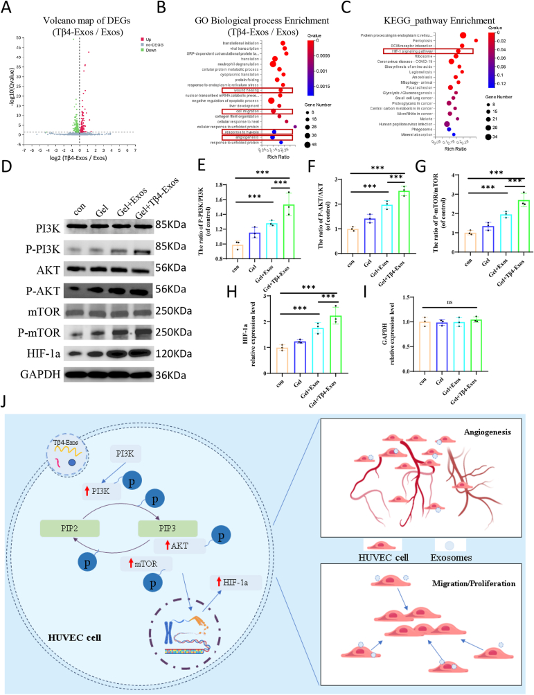 生物信息学分析