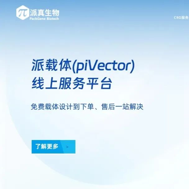 派载体线上平台