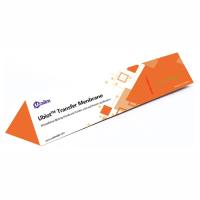 Ublot™  硝酸纤维素（NC）印迹膜，0.45 μm，W3N43