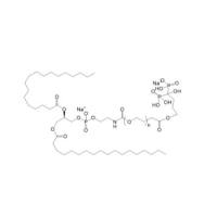 Alendronate Sodium-PEG-DSPE DSPE-PEG-ALN ALN-PEG-DSPE 阿仑膦-酸钠-聚乙二醇-磷脂