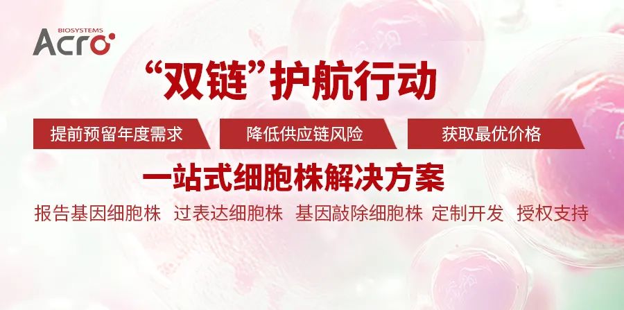 【双链行动】一站式细胞株解决方案：产品+服务护航全流程