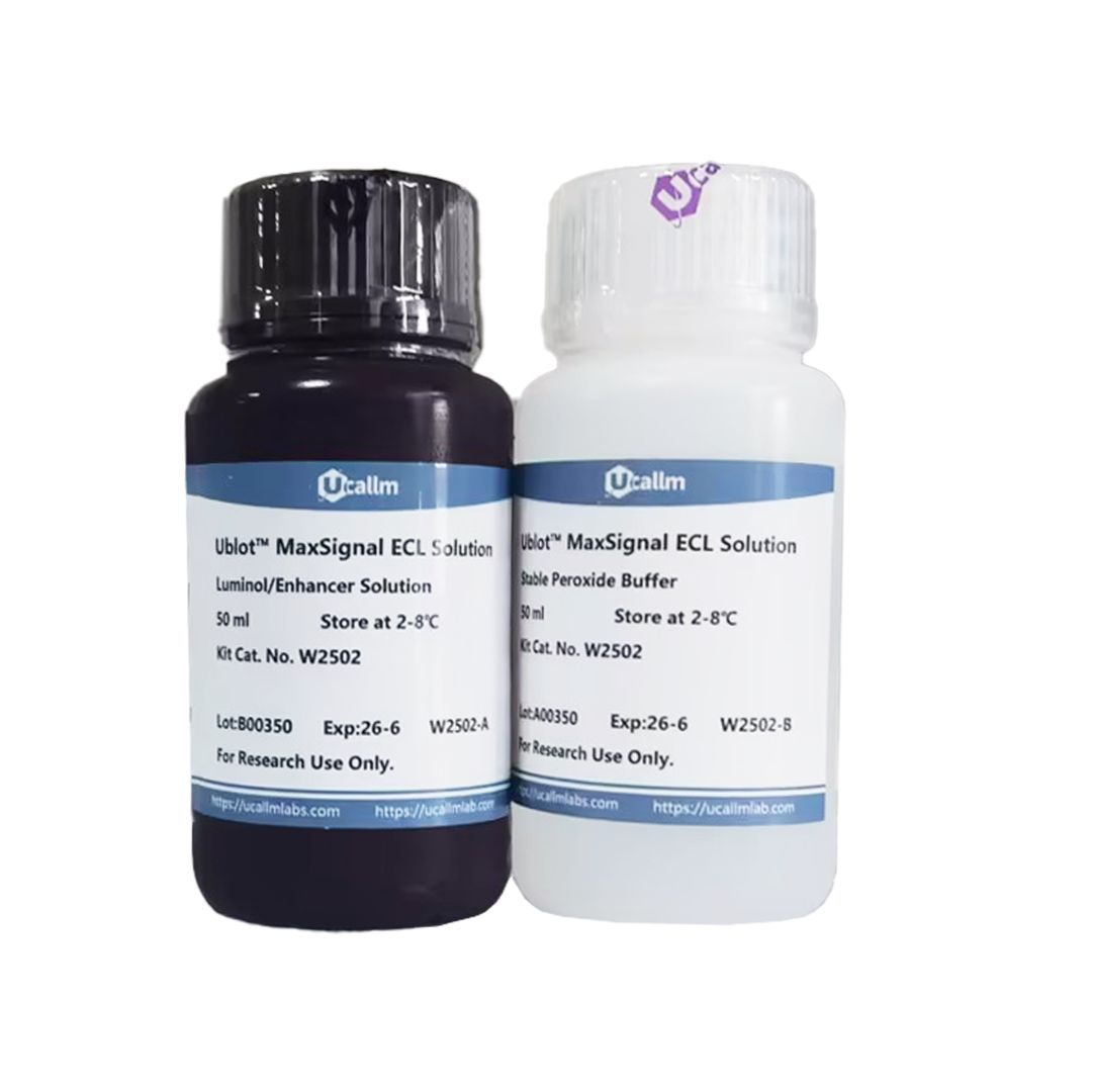 Ublot™ MaxSignal ECL 化学发光液(飞克级)