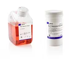 CHO细胞(中国仓鼠卵巢细胞)表达系统培养基&nbsp;-赛默飞