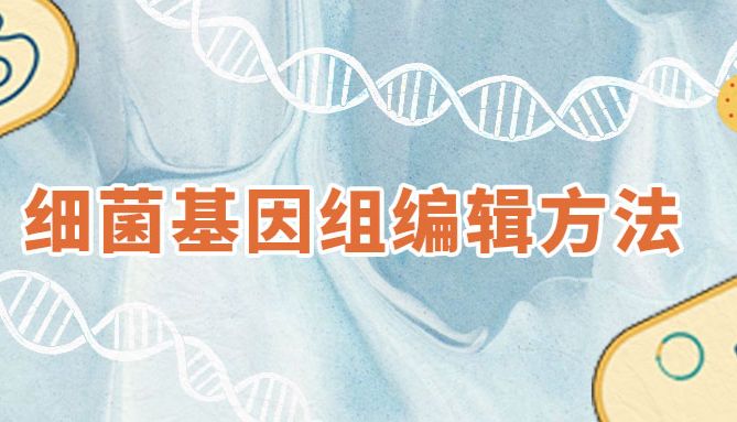 上新 | 改写细菌“生命代码”：揭秘细菌基因组编辑技术！