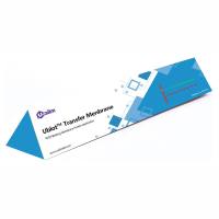 Ublot™ PVDF印迹膜,0.45 μm,W3F43