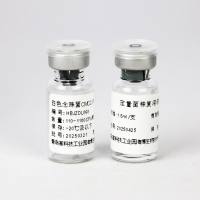 白色念珠菌CMCC(F)98001(定量)