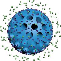 负载小干扰RNA(siRNA)的多孔聚多巴胺纳米颗粒被生物矿化的磷酸钙壳层包裹 siRNA@MPDA@CaP