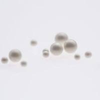 陶瓷珠 (ZS 4.1型)