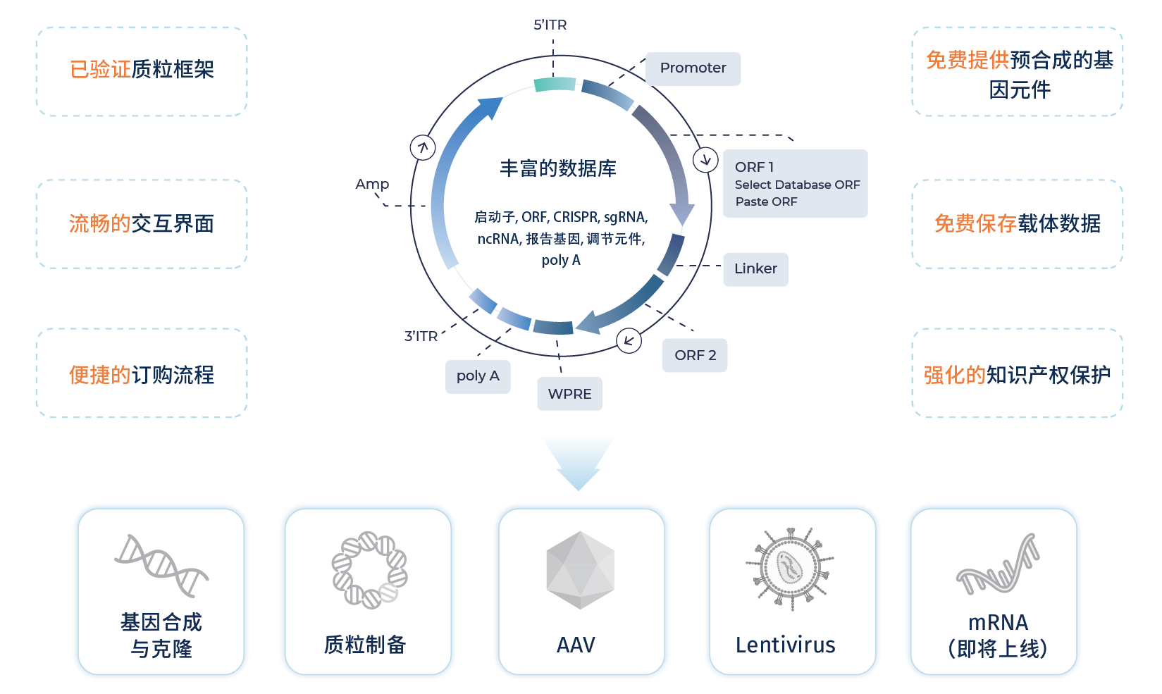 派载体线上平台