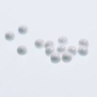 陶瓷珠 (A 99.99型)