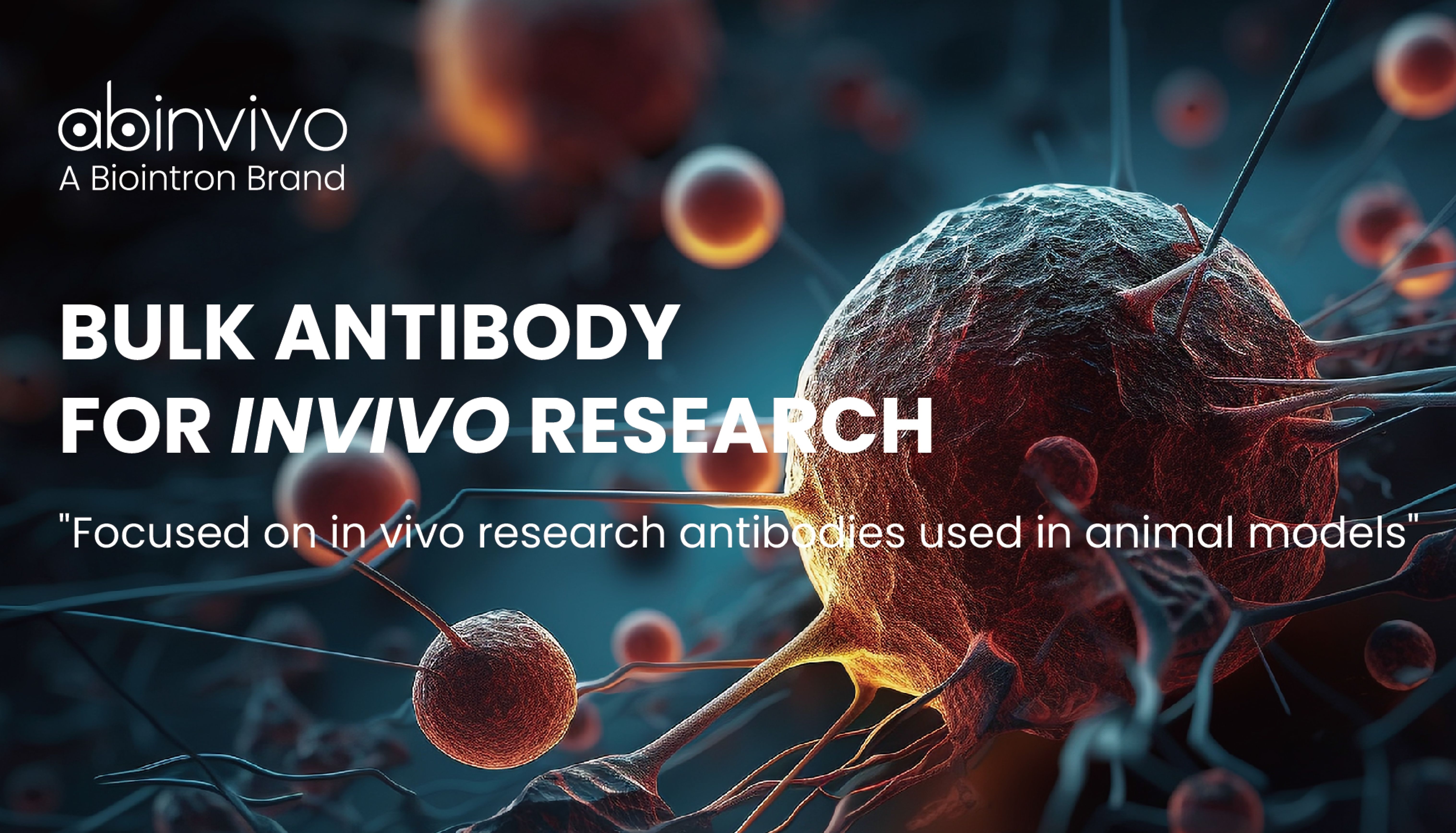 耗竭型抗体：深度解密细胞功能