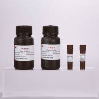 荧光法HRP特超敏检测试剂盒-免疫检测