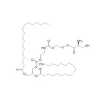 DSPE-PEG-D-Serine  DSPE-PEG-D-Ser  D-Ser-PEG-DSPE     磷脂-聚乙二醇-D-丝氨酸