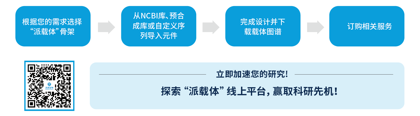 派载体线上平台
