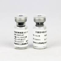 铜绿假单胞菌CMCC(B)10104（定量）