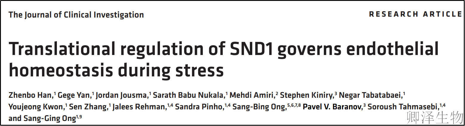 【Ribo-seq技术文献】 | 抗癌药物伤心脏？科学家找到保护血管的“金钥匙”！