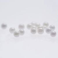 陶瓷珠 (ZY 6.0型)