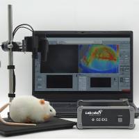 激光散斑血流成像系统OZ-2-EX1