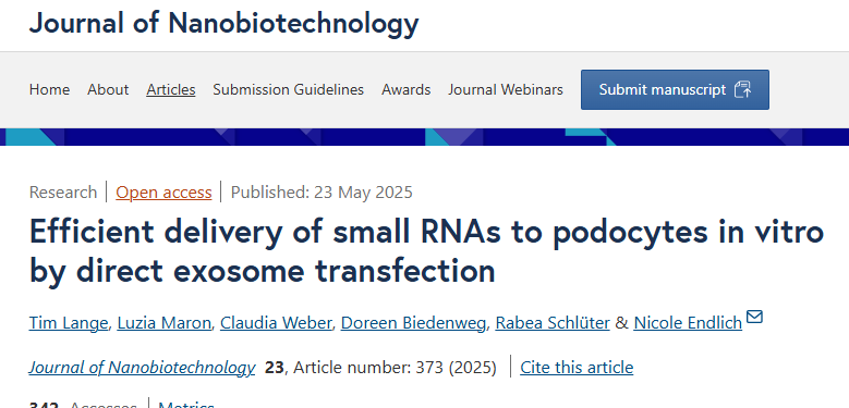 IF10+研究，外泌体“硬核带货”小RNA！时间剂量双验证，48h全内化，这技术太顶了！
