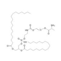 D-Alanine-PEG-DSPE   D-Ala-PEG-DSPE  DSPE-PEG-D-Ala   D-丙氨酸-聚乙二醇-磷脂