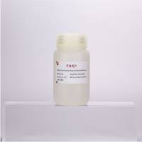 TMB显色终止液(450nm)-免疫检测