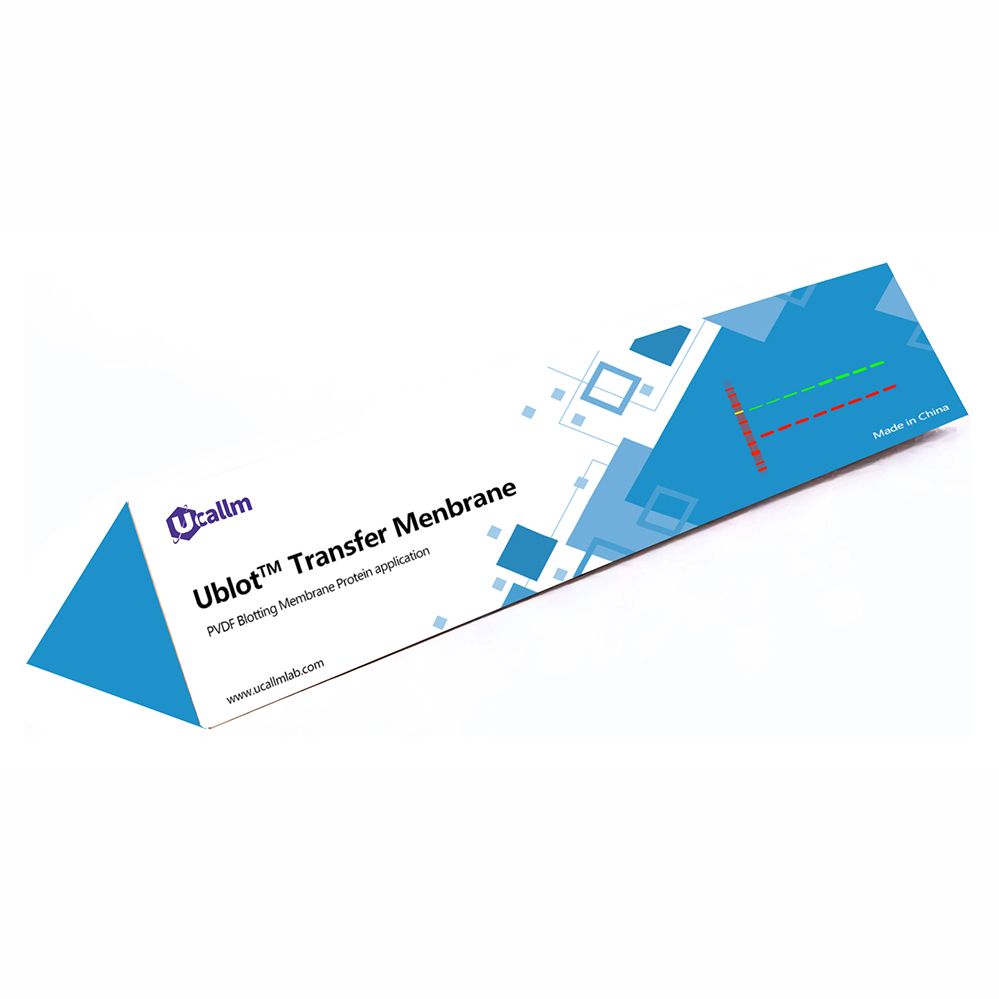 Ublot™ PVDF印迹膜，0.45 μm，W3F41
