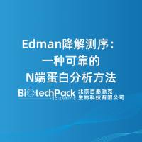 Edman降解测序：一种可靠的N端蛋白分析方法