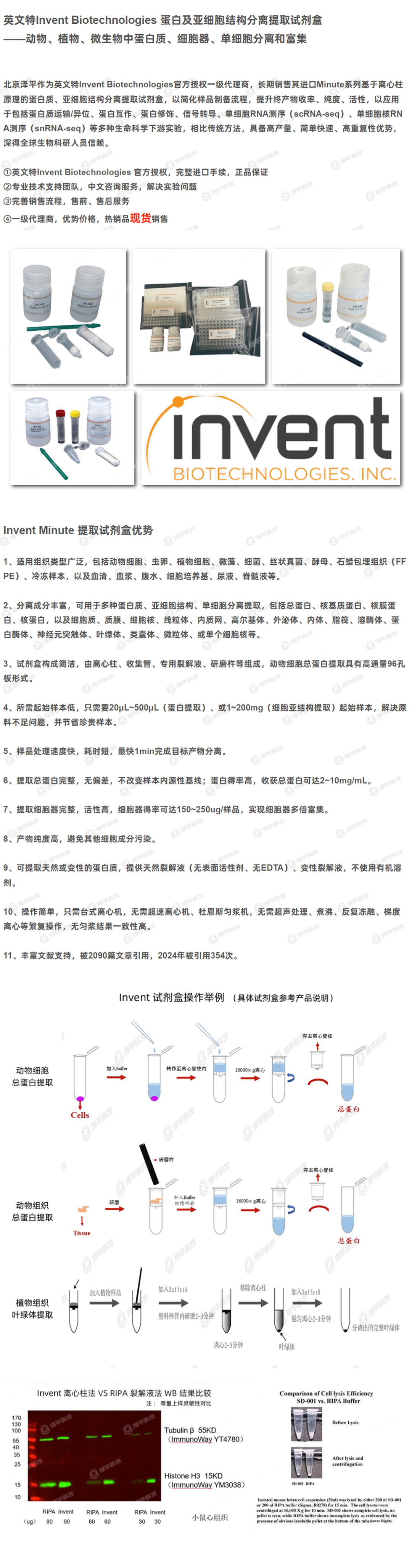 Invent Minute胶片中蛋白质、核酸提取试剂盒 M