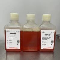 特级胎牛血清（无菌过滤）