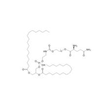 DSPE-PEG-Glutamine   DSPE-PEG-Gln  Gln-PEG-DSPE