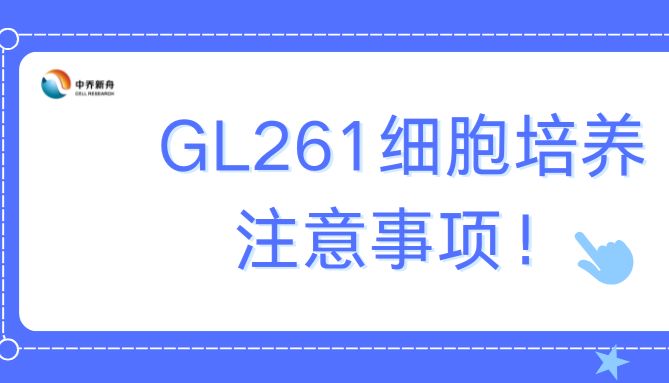 GL261细胞培养注意事项！