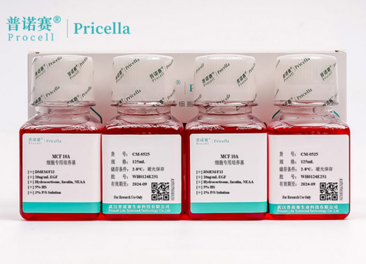 科研采购指南：MCF 10A专用培养基选购5大核心指标