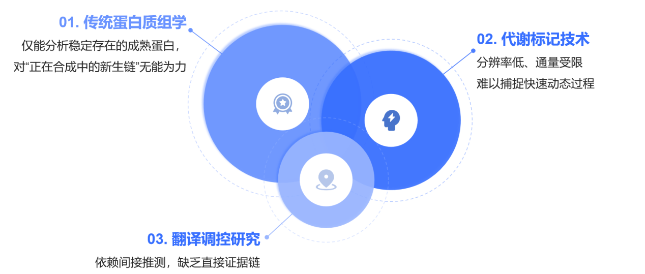 PUNCH-P技术：让蛋白质动态合成“无处可藏”，解锁生命科学新维度