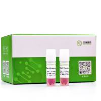 人肝癌细胞(SNU398-Cas9)