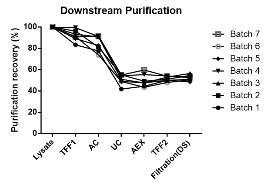 Aav下游回收率稳定